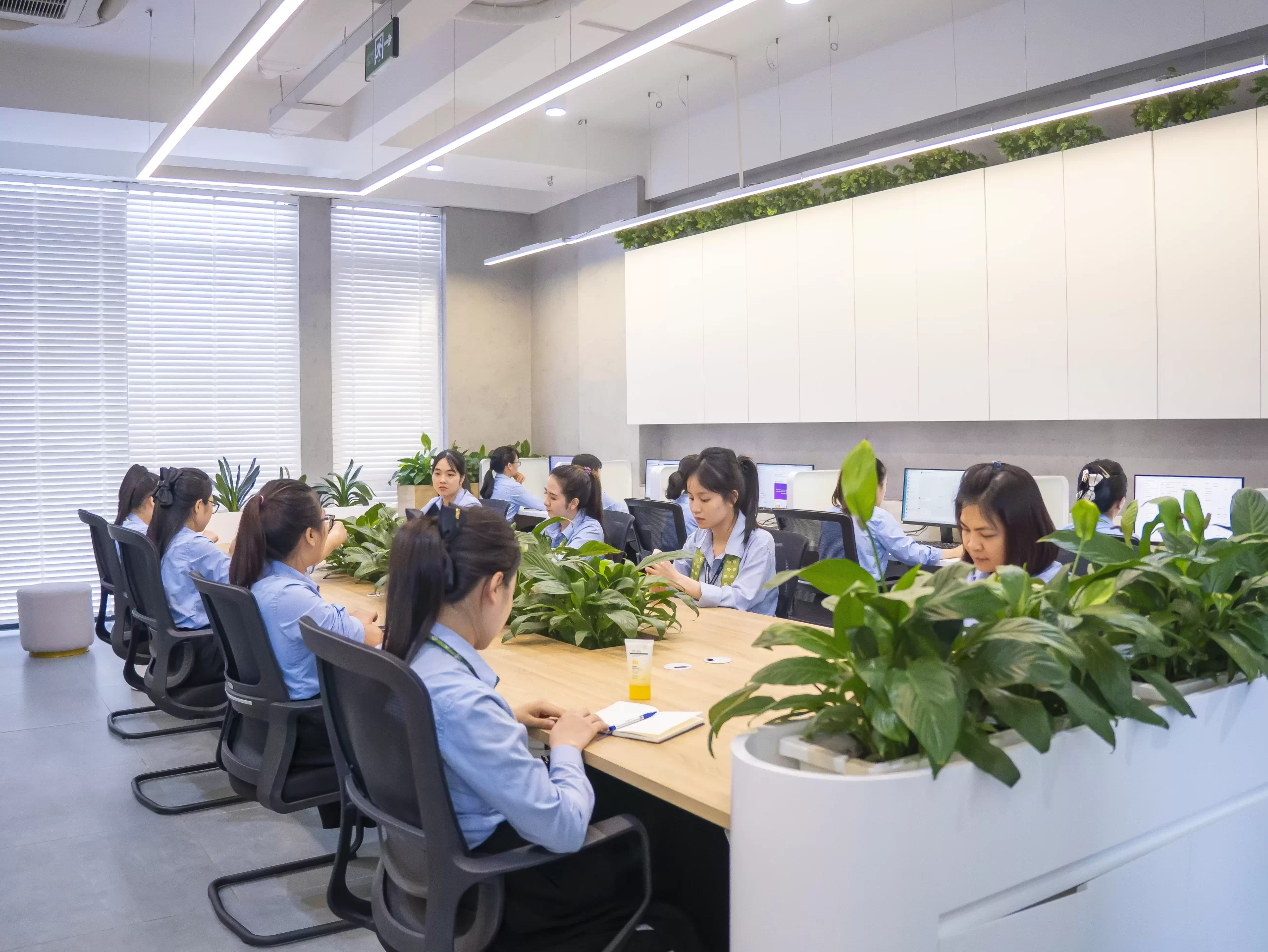 Môi trường làm việc tuyệt vời tại Bắc Nam